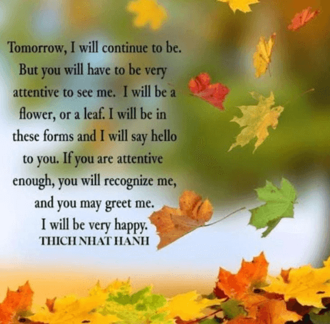 The Fallen leaf..