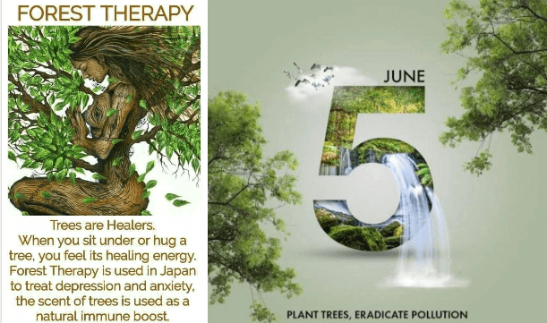 World Environment Day!