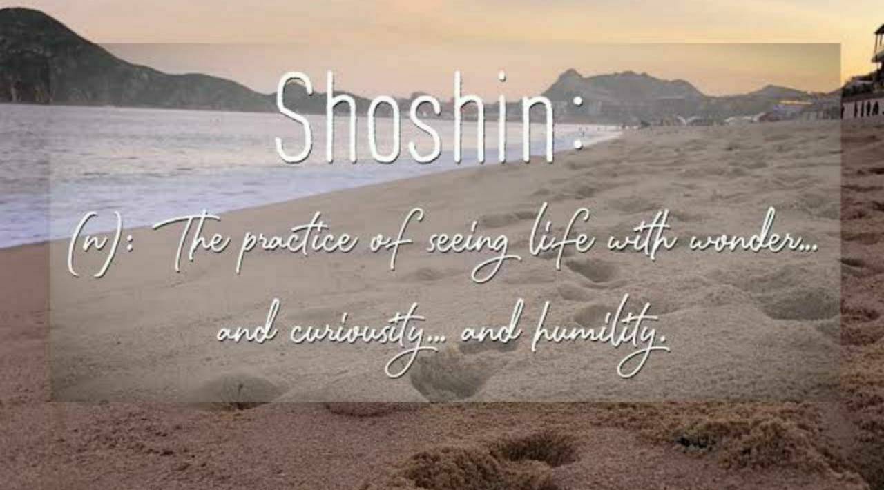 Shoshin The Beginners Mind