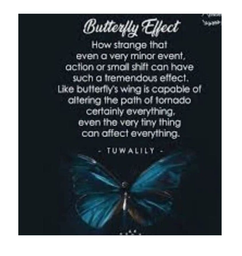 The Butterfly Effect