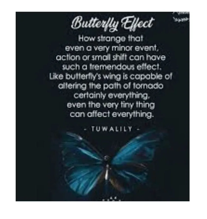 The Butterfly Effect