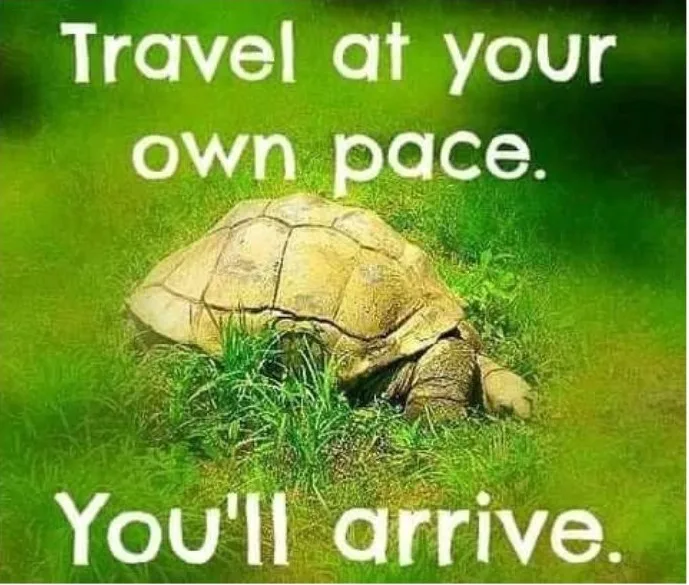 You'll Arrive