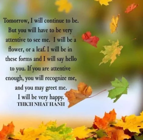 The Fallen leaf..